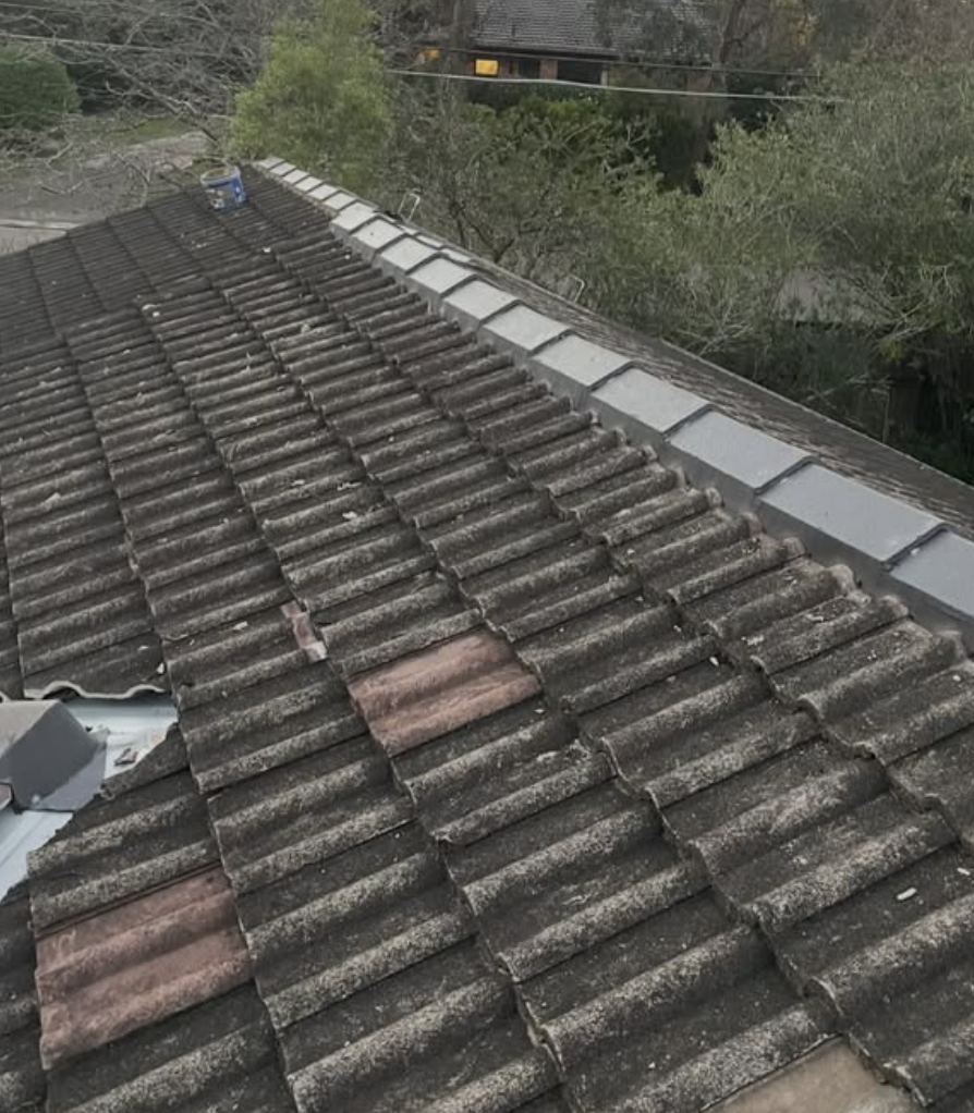 Roof Restoration