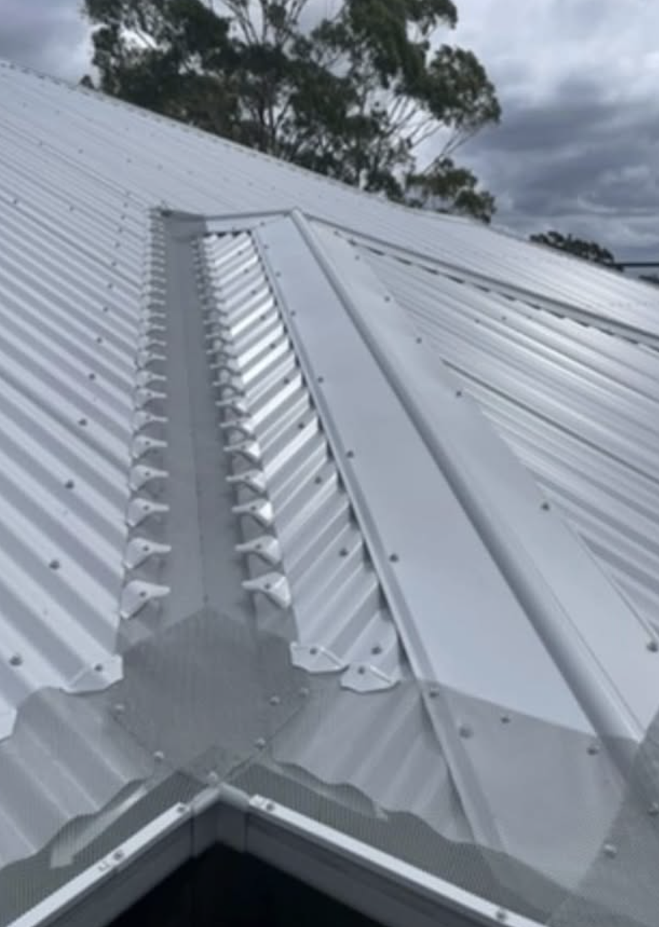 Leaf & Gutter Guard System